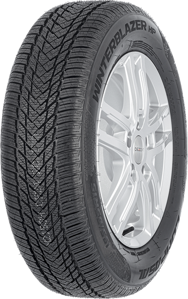 Compasal WinterBlazer HP 205/55 R16 91 H