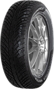 Cooper Discoverer Winter 255/50 R19 107 V XL