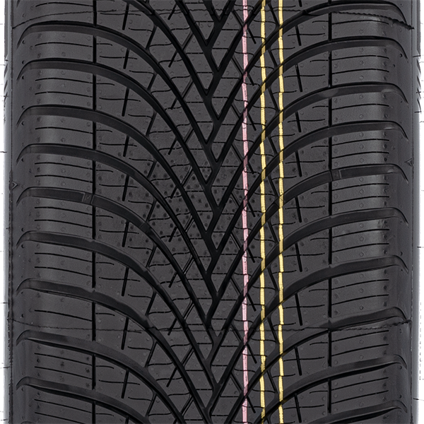 Dunlop All Season 2 215/55 R17 98 W XL Oponeo.be
