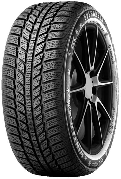 Evergreen EW62 195/65 R15 91 T