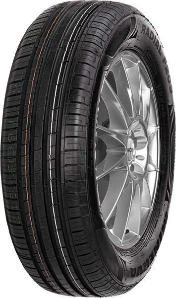 Minerva F209 215/65 R16 102 V XL