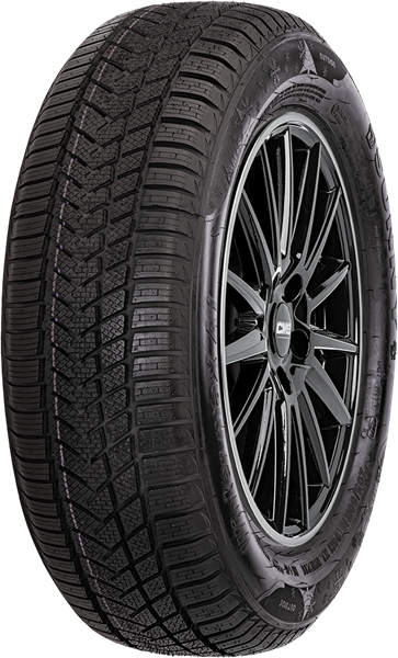 Sunny Wintermaxx NW211 195/55 R15 85 H