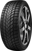 Close-up van het loopvlak Delinte WD6 205/50 R17 93 H