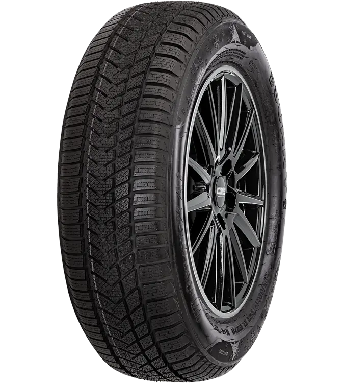 Sunny Wintermaxx NW211 195/55 R15 85 H
