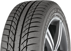 GT Radial Champiro WinterPro